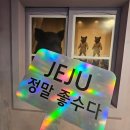 돌담요양병원 | 제주 아이랑 가볼만한곳 서쪽 실내관광지 홀릭뮤지엄