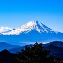 권안경콘택트 matcha-jp.com