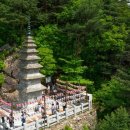 (유)정선 이미지