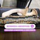 풍천변 | 시흥 장현맛집 "풍천황제장어 시흥장현직영점" 100% 자포니카 민물장어 솔직후기