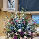 2025년 11월 4주 성전 꽃꽂이 - 서울 평강교회 이미지