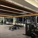 성심피티 PT 산척점 이미지