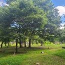 방호정민박 | 청송 노지캠핑 장소 추천 계곡과 멋진 풍경이 있는 방호정