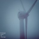 새벽목장 이미지