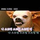 예티 이미지