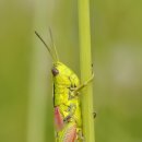 리나 하우스 이미지