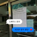 꿀팁 블로그&UCC (멀티미디어활용) | 제47회 ADSP 합격 ⎹ 노베 문과의 첫도전 4일 공부 후 합격, 3과목 꿀팁