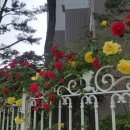 산격연합의원 이미지