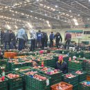 안동농협농산물공판장 이미지