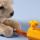 펫인푸드 이미지