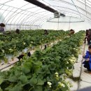 웅비농장 이미지