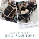 심쿵펫 | 강아지 유모차 애견 대형견 개모차 2025 케이펫페어 수원 펫박람회 가격 비교