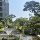 장미꽃떡볶이&라면미사누리공원 | 로스트앤베이크, 연남동 슬로우, 야키토리 묵, 가디언즈오브갤럭시, 여의도 한강, 미사 스시코호시, 소진담