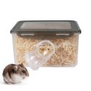 골든박스 이미지