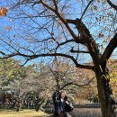 하늘 별 바다 관광펜션 | 태안 바닷가 펜션 국내 겨울여행지 추천 샤론펜션 겨울바다 감성숙소 후기