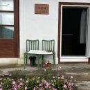 고운채 스테이 이미지