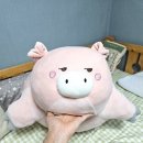 돼지옆꾸리
