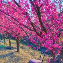 힐타운 공인중개사사무소 이미지