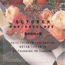 바바플레르 이미지