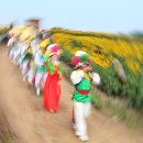 해바라기의꿈 이미지