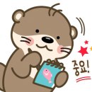 유레카인테리어필름