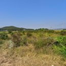 오두리 농장 이미지