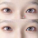 지아속눈썹
