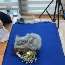 아이맘한의원 | 청라여성병원 산후조리원 13박 14일 후기 2탄(산모식사, 한의원, 산모교육, 모자동실, 본아트, 산후마사지)