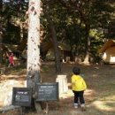 산들숲유치원 이미지