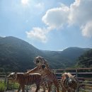 벽계관광지 통나무집 이미지