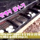 365팡팡