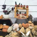 청풍하트레이크 이미지