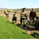 황주농장 이미지