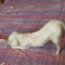 꽃님이약국 이미지