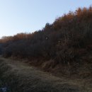 남산리농장 이미지