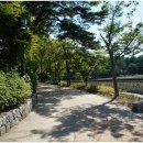 건아렌터카 이미지