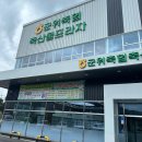 은영식육식당 | 군위 소고기 맛집이라는 [군위축산물프라자] 다녀온 후기