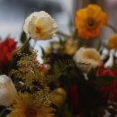 컨포지움 이미지