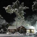 주천강강변자연휴양림 이미지