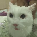 이순신호텔