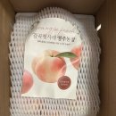 믿음농장 | 영주농장 복숭아 천중도 백도 내돈내산 후기🍑🍑🍑