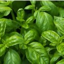 밀라노짐 이미지