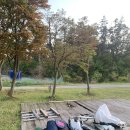 [충남 태안군] 솔향기길 캠핑장, 태안 캠핑장, 캠핑장 차박 (내돈내산 후기)
