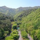 만수산자연휴양림 이미지