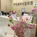 연세이너힐의원 이미지