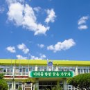 친구와 돌담길 이미지