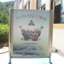 함평초등학교 이미지