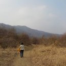 힐링이 되는 비내섬 이미지