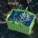 나이스컷 이미지