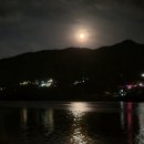 메인독 | 양평 애견동반 펜션 추천｜남한강 뷰 수영장까지 완벽했던 이든독 후기